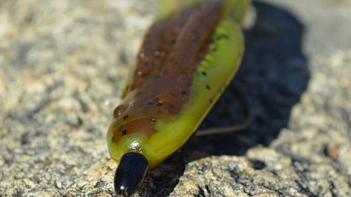 Make These Five Soft-Plastic Lures Catch More Bass