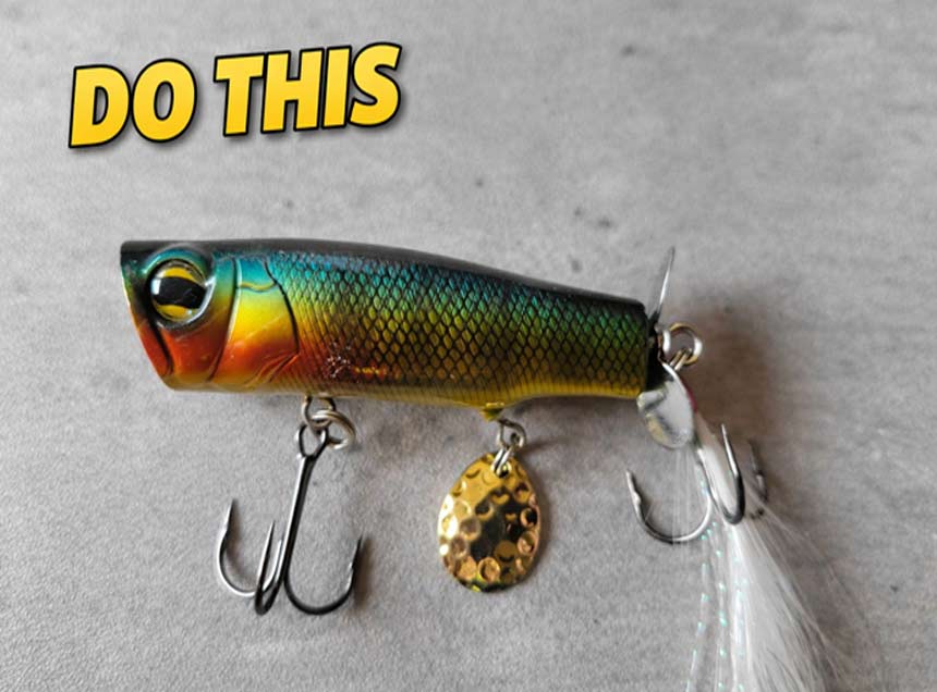 Bass fishing