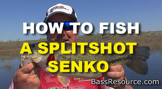 How To Fish A Splitshot Senko, Video