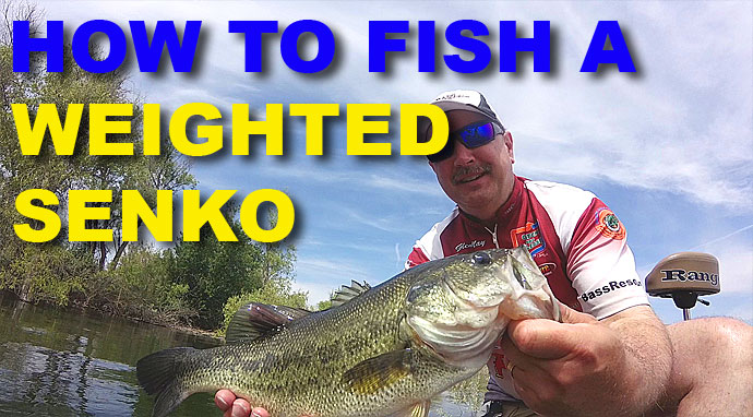 How To Fish Texas Rigged Senkos, Video
