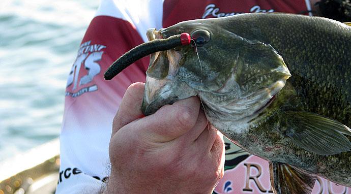 How To Fish The Ned Rig, Video
