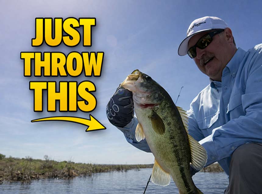 Bass fishing