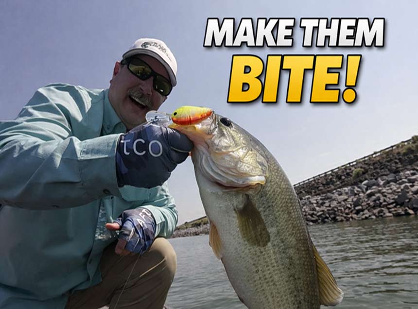 Bass fishing