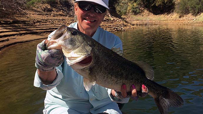 Is My Texas Rig Shaky?  The Ultimate Bass Fishing Resource Guide® LLC