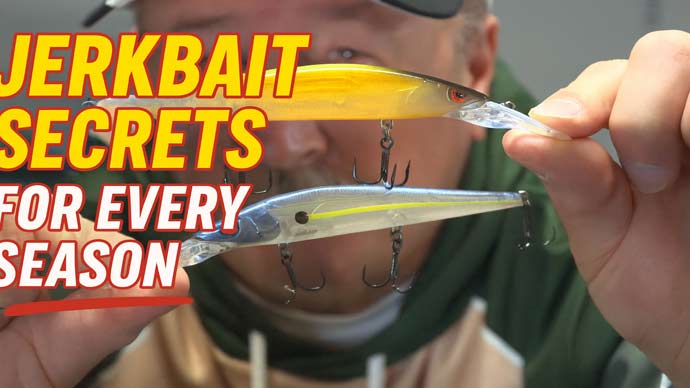 Jerkbaits
