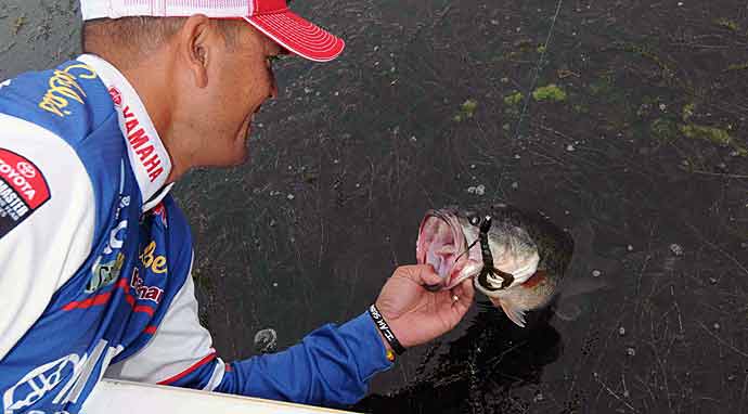Jig Tactics for Bass  The Ultimate Bass Fishing Resource Guide® LLC