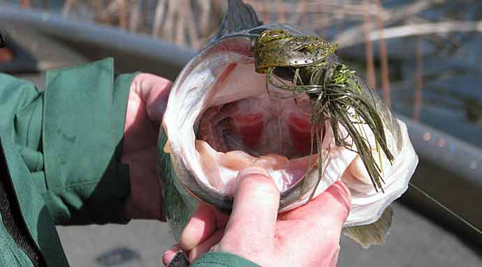 aftermarket fishing reel knobs Gomexus Power Handle & Knob for Shimano & Daiwa Conventional Reels   HiFishGear