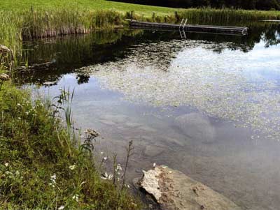 Scalloped shorelines add more shore and better habitat for aquatic species. Plus, you get the benefit of more productive littoral zone areas.