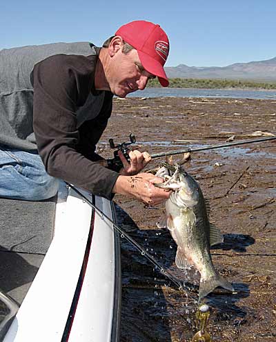 Using Scents For Bass  The Ultimate Bass Fishing Resource Guide® LLC