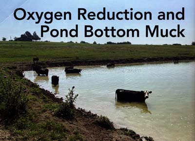 Classic example of external loading. Imagine your pond having to mitigate hot nutrients as cattle waste, not to mention the breakdown of soils around the pond's edges.