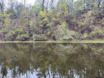 Pond