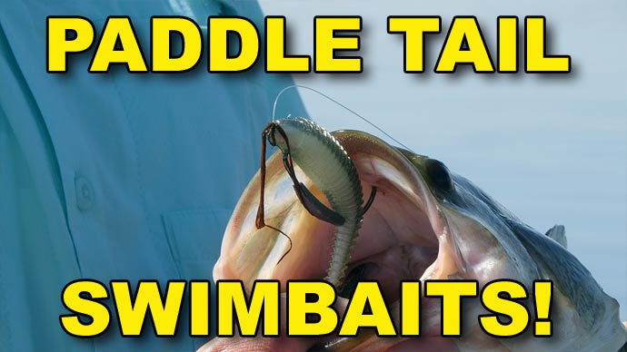 Paddle Tail Swimbaits