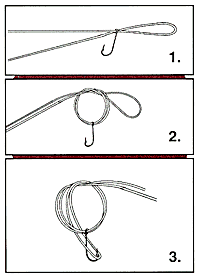 Palomar knot