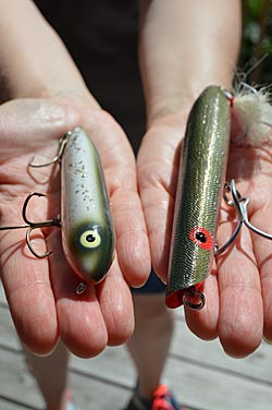 Walking style topwater lures are a good choice from post spawn through early summer, when bass are chasing spawning shad or blueback herring, depending on the lake. Zara Spooks are used in both situations, but the Cotton Cordell Pencil Popper is a popular choice for big bass in lakes with herring. Photo by Pete M. Anderson