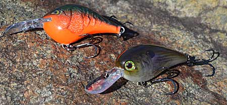 Major League Fishing Tackle Warehouse Pro Circuit angler Alex Davis uses several factors to choose a prespawn crankbait, including water temperature. When it’s 55 degrees or warmer, he uses a more rounded crankbait such as Jackall’s MC60 or Rapala’s DT6. Photo by Pete M. Anderson