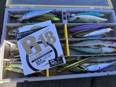 Relatively new to the American market, R18 is a great option for techniques like jerkbait fishing, where slight changes in pound test can make a big difference.