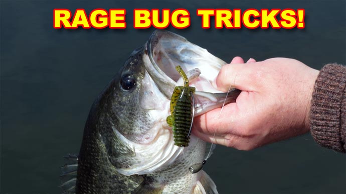 Rage Bug Tips That Work!