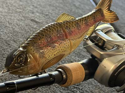 All of the Synch baits look amazing, but are designed for use on the water to catch fish.