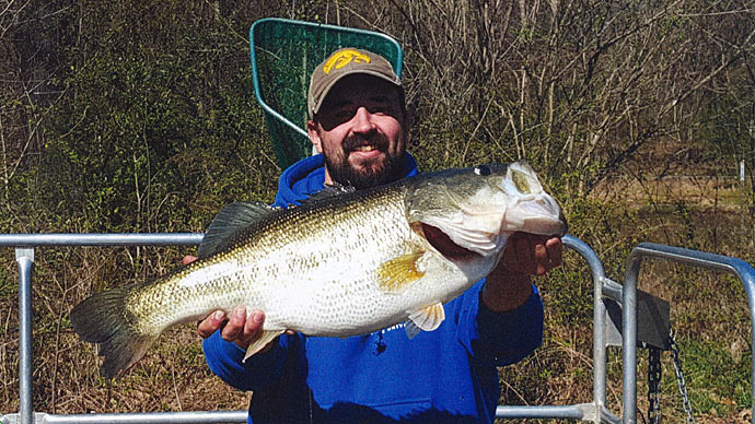Size Matters: Bass Behavior Changes with Size