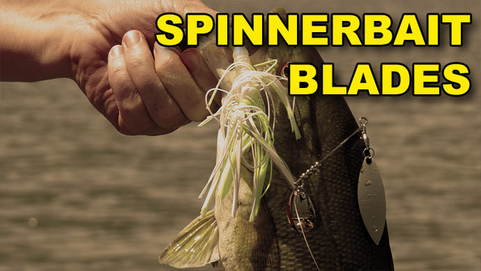 Spinnerbait Blade Types  The Ultimate Bass Fishing Resource Guide