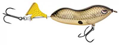 Bass Fishing