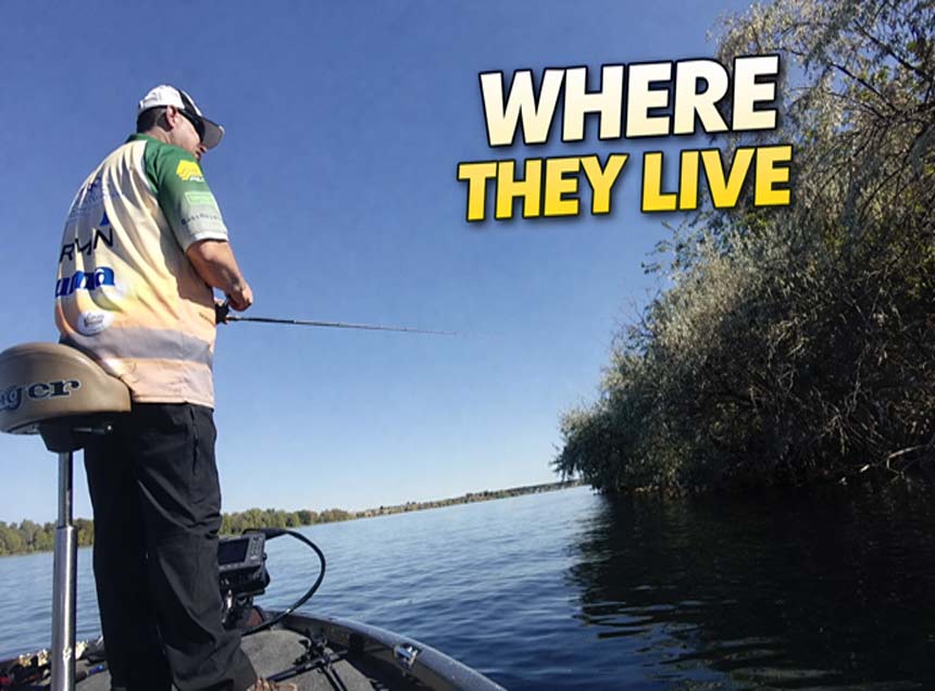 Bass fishing