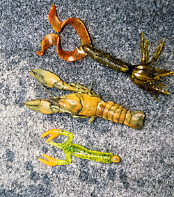 Crayfish are a major food source for river bass.