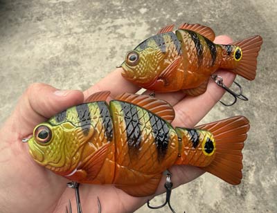The lures from Synch fishing are works of art, with extreme detail and paint finishes, but they are just as impressive in the water.