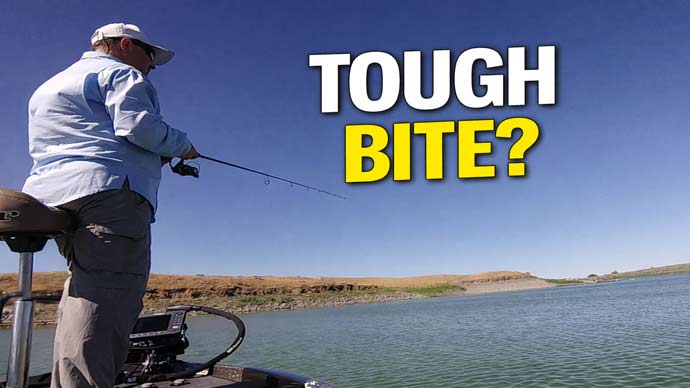 tough bite
