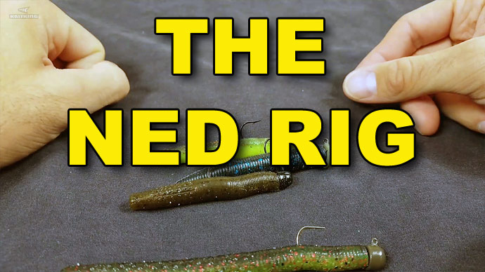 The Ned Rig: Proven Tactics You Need To Know, Video
