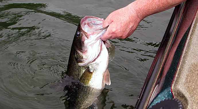 The Setup – Ideal Rod/Reel/Line Combos For All Presentations