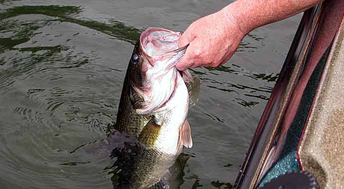 12-16 in fishing landing net ProMesh Series Hook Resistant Landing Nets 18" x 20"