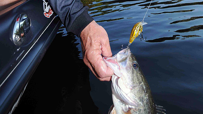bass lures for rivers Three Favorite River Lures for Big Bass