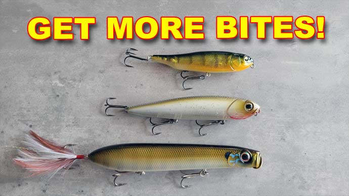 Topwater baits for bass fishing