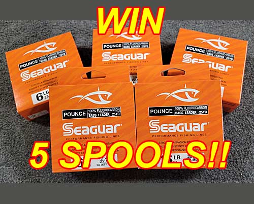 Seaguar Pounce