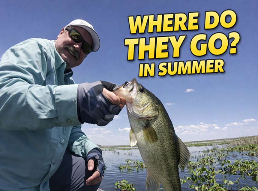 Bass fishing