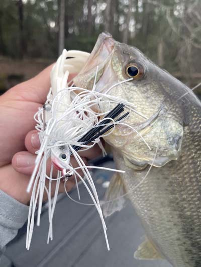 A white swim jig is the perfect way to match a shad, and these baits excel when shad are shallow and the bass are feasting on them.