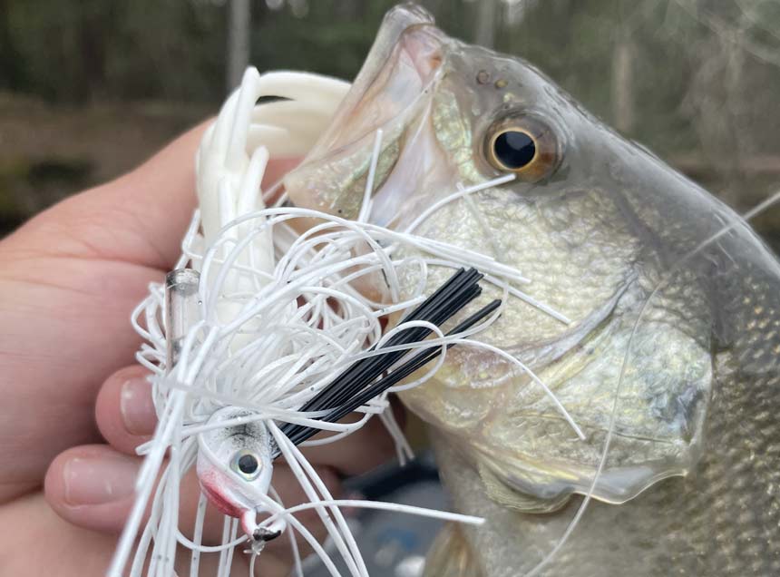 Bass fishing