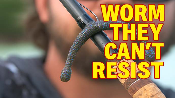 wacky worm