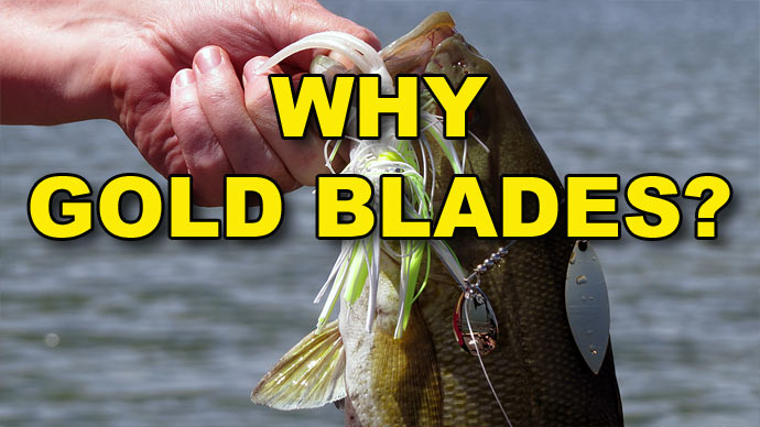 Why Using Gold-Bladed Spinnerbaits is Best  The Ultimate Bass Fishing  Resource Guide® LLC