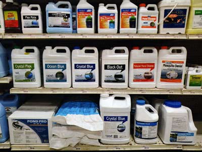 Bottles of bacteria can sit on the shelf for a long time.