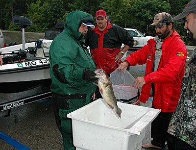Beginning bass anglers get more bang for their buck by joining a bass club and the bonus of weighing in their catches at the end of the fishing day.