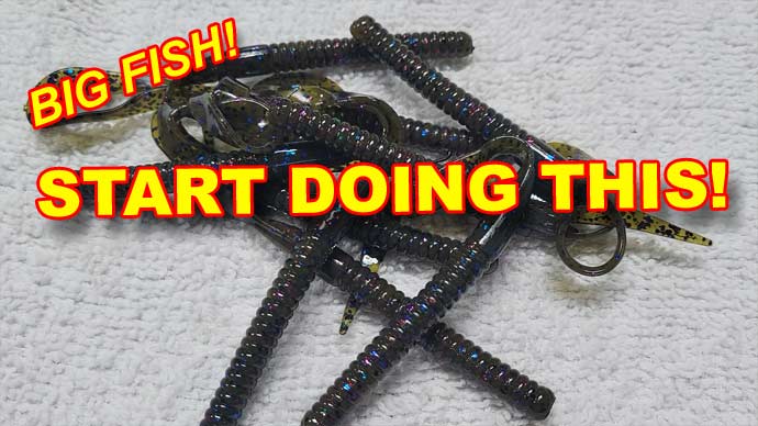 Bass Fishing Plastic Worms From Shore, Video