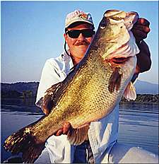 12 lb 5 oz bass caught and released by the author at Clear Lake, California on September 15, 1999. Did they catch the same bass? We think so!