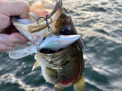 Many lure brands have crankbaits that will hit just about any depth. The Berkley Dime series is one with baits designed for several depth zones.