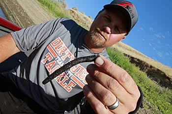 The 4” Big TRD is one of Clausen’s go-to Ned Rig baits.