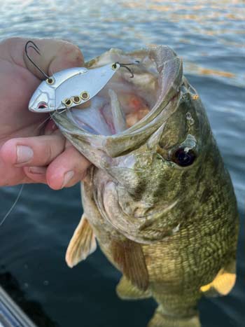 The metal blade bait puts off tons of vibration, and they are among the best lures you can use to catch bass in the winter months.