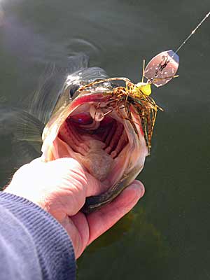 Blade Bait Tactics You May Not Have Tried