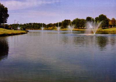 Impressive fountain and diffuser combination.