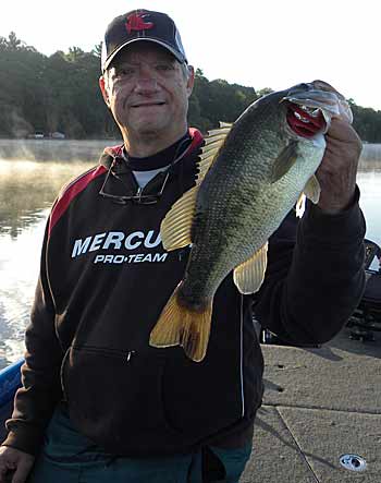 Healthy bass caught on a Carolina Rig